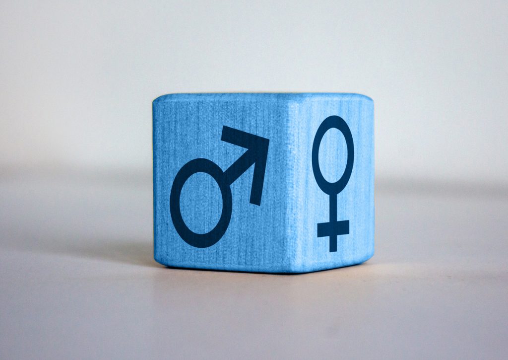 Female Leadership bei Cross Consult