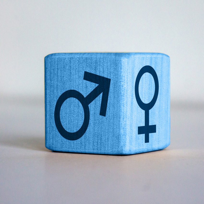 Female Leadership bei Cross Consult