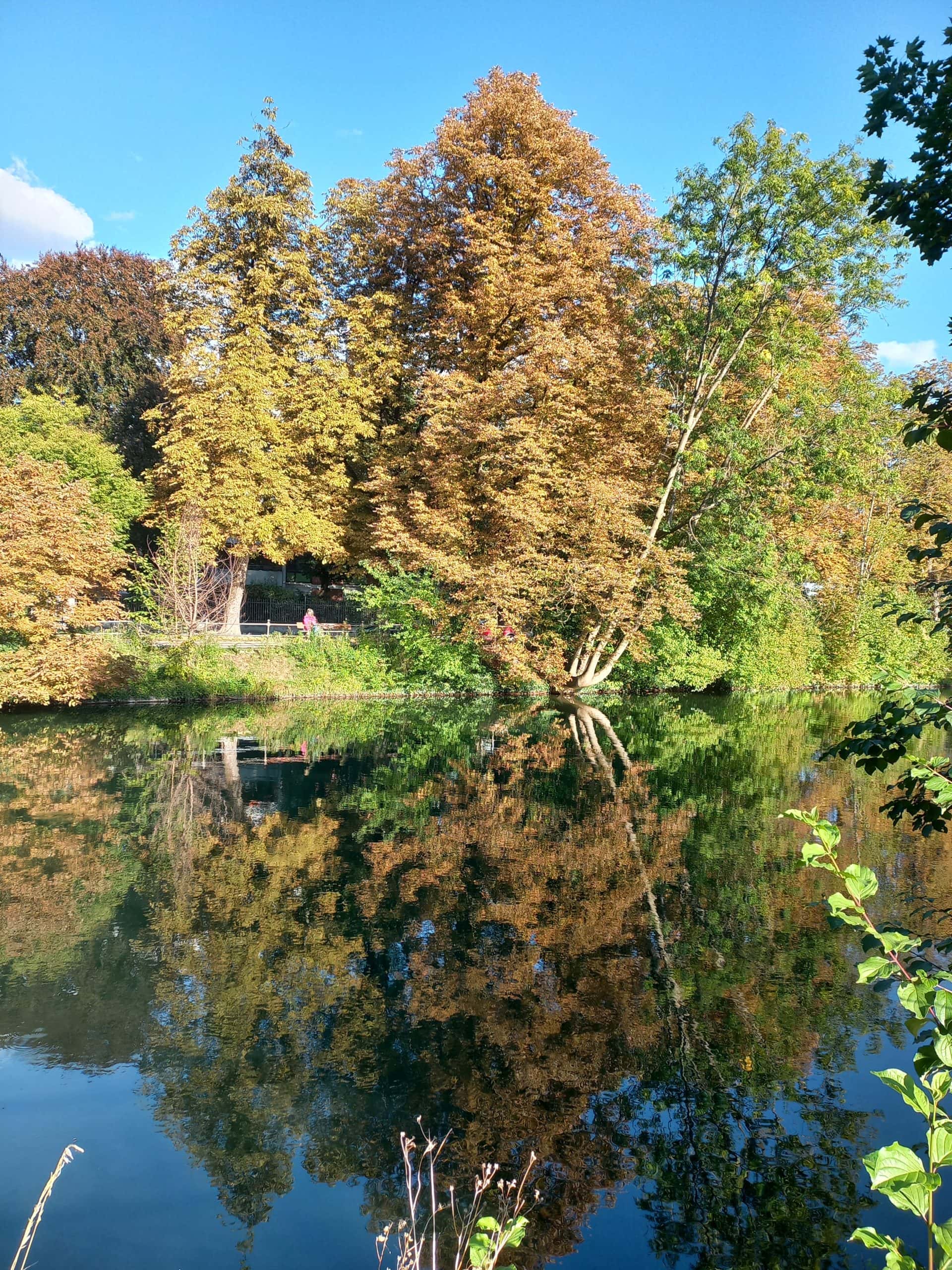 Bäume spiegeln sich im ruhigen Wasser bei schönem Herbstwetter beim Abschluss des 15. Cross Mentoring Augsburg
